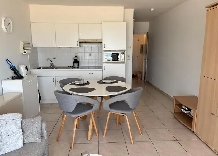 Bel Air - Cosy With Sea View T154 * 奥斯滕德